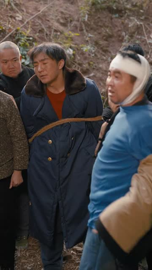 稻花香里说丰年（60集）免费短剧全集看