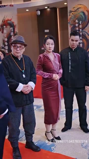 医武神婿（90集）最火短剧推荐