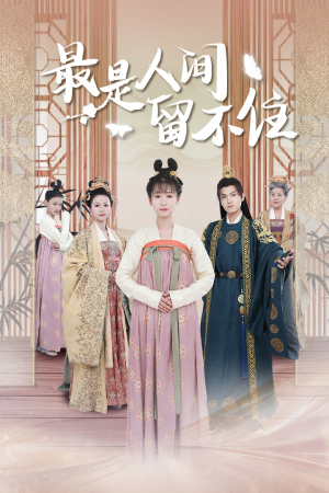 最是人间留不住短剧（71集情感短剧完整版免费观看）