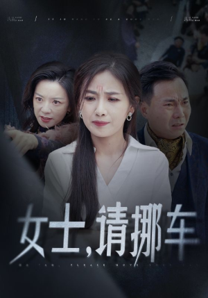女士请挪车短剧（29集生活短剧全集高清在线畅享）