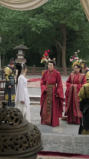 镜花不比人间月（52集）贝贝短剧分享