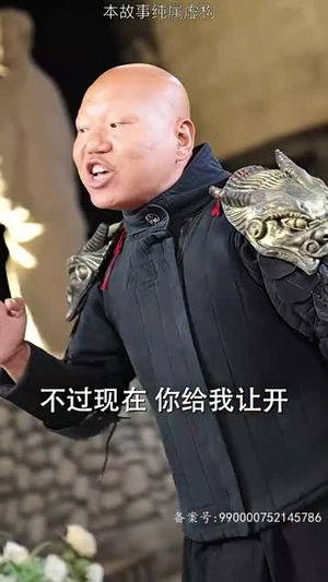 新版 隐龙（94集）一共多少集