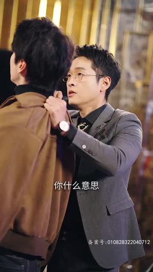 风起南城短剧（70集高分短剧手机在线便捷观看）