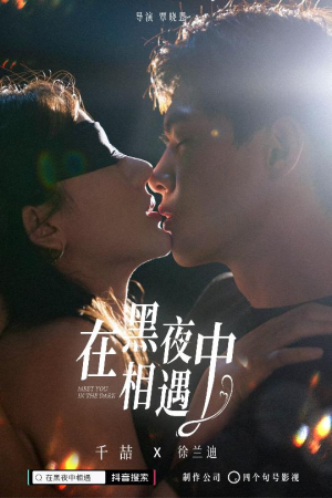 在黑夜中相遇短剧（32集都市情感短剧全集免费观看）