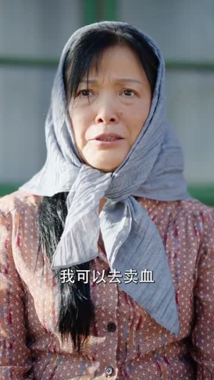 母跪儿天不容（31集）短剧视频分享