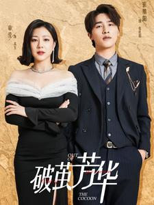 破茧芳华短剧（80集励志成长短剧全集在线畅享）
