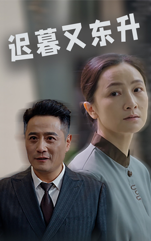 迟暮又东升短剧（35集剧情短剧完整版在线播放）