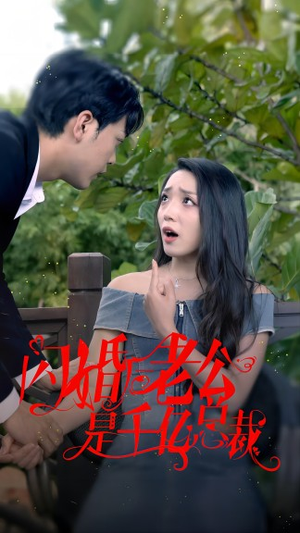 闪婚后老公是千亿总裁短剧（90集婚姻短剧全集高清在线观）