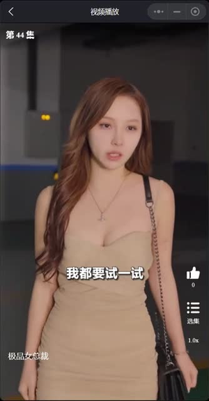 我的极品女总裁短剧（全集爱情短剧在线观看全集）