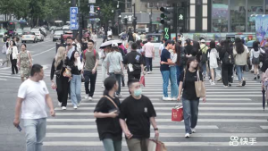 盛放的野玫瑰短剧（27集剧情短剧高清完整版随时看）