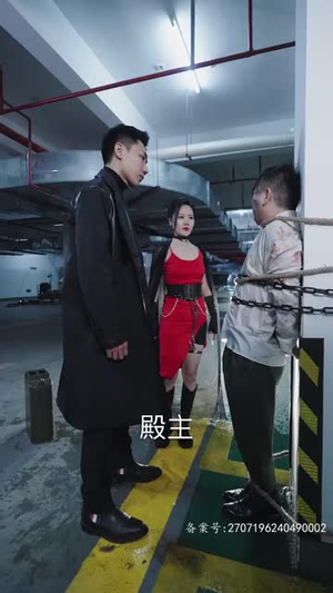 新版：龙霸天下（100集）短剧免费分享
