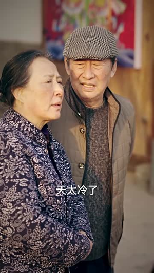 不是闹着玩之过年（24集）高分佳作免费看