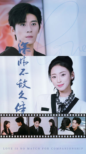 深情不敌久伴短剧（50集都市恋爱短剧高清完整版在线享）