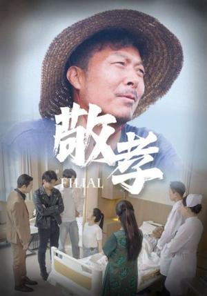 敬孝短剧（61集伦理短剧高清流畅在线观看）