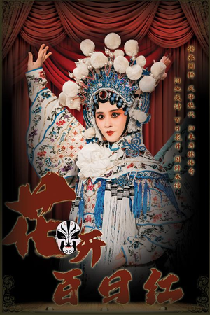 花开百日红短剧（30集爱情短剧全集免费观看）