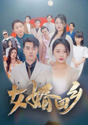 女婿回乡短剧（120集励志短剧全集在线观看无广告）