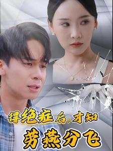 得绝症后才知劳燕分飞短剧（31集都市情感短剧催泪全集在线看）