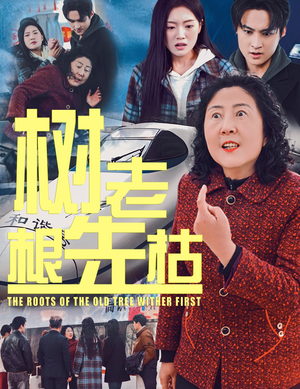 树老根先枯短剧（33集生活短剧手机在线观看）
