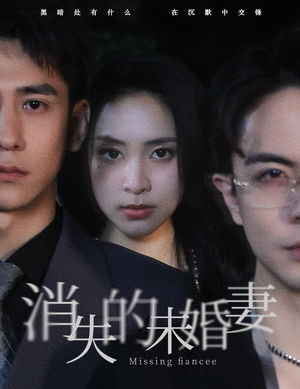 消失的未婚妻短剧（82集剧情反转短剧在线观看无广告）