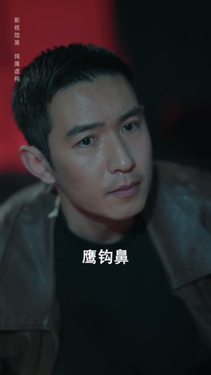 目击者（30集）看精彩短剧