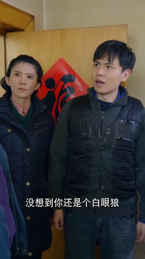 福神奶奶旺全家短剧（31集治愈短剧温馨故事在线观看）