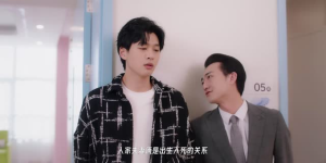 哑妻（24集）高质量短剧推荐