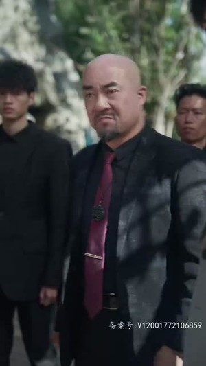 花都狂龙（100集）完整版