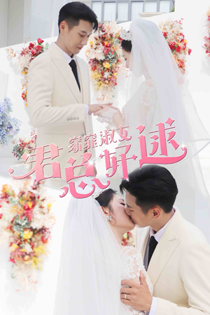 窈窕淑女，君总好逑短剧（85集都市情感短剧高清全集在线看）