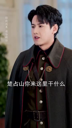 劫爱难逃（30集）经典老剧免费看