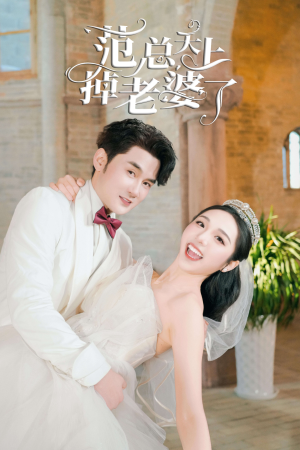 范总天上掉老婆了短剧（78集甜蜜短剧全集高清在线观看无广告）