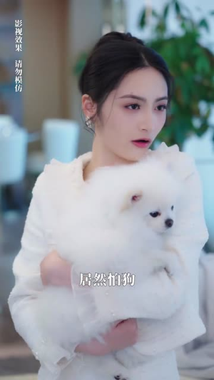 纪总的闪婚夫人美又飒（90集）一共多少集