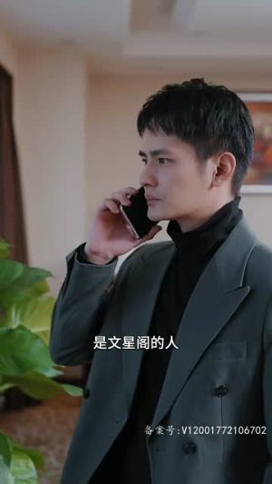 真假双龙（90集）简直不要太好看