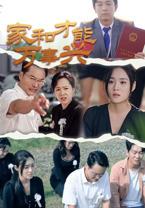 家和才能万事兴短剧（30集家庭励志短剧全集高清在线看）