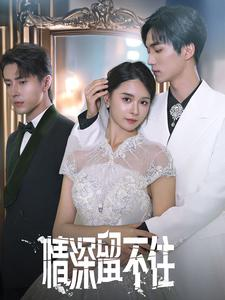 情深留不住短剧（80集都市情感短剧高清全集在线观看）