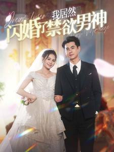 我居然闪婚了禁欲男神短剧（101集甜蜜短剧全集在线观看无删减）