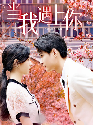 当我遇上你短剧（100集都市恋爱短剧高清画质在线享）