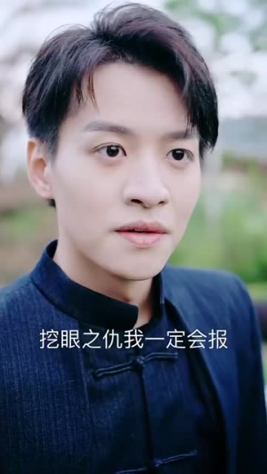 第二双眼（90集）短剧分享剧集
