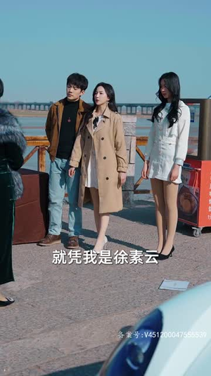 真武王（91集）短剧后续更精彩