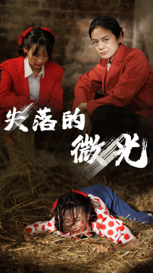 失落的微光短剧（60集励志短剧全集高清在线观看）