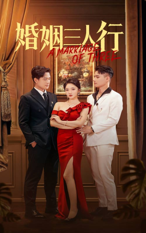 婚姻三人行短剧（31集伦理短剧高清流畅在线观看）