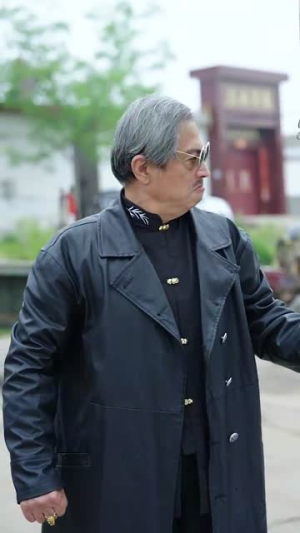 教父第二季（96集）完整版