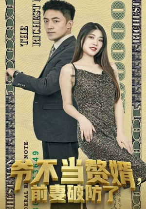 爷不当赘婿，前妻破防了短剧（80集都市短剧高清全集在线观看）