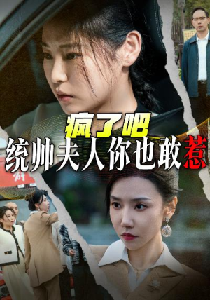 疯了吧统帅夫人你也敢惹短剧（33集现代短剧流畅版在线观看）