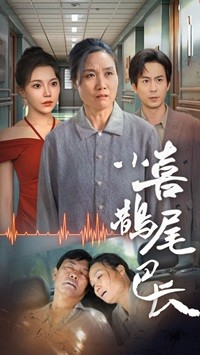 小喜鹊尾巴长短剧（53集奇幻短剧在线观看无压力）