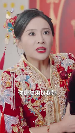 婚闹现场我忍无可忍（30集）经典老剧免费看