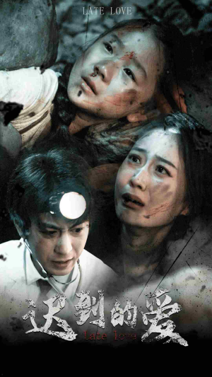迟到的爱短剧（48集都市情感短剧高清流畅在线观看）