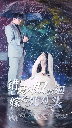 错爱为奴被逼嫁给死对头短剧（90集古装短剧高清全集在线观看）