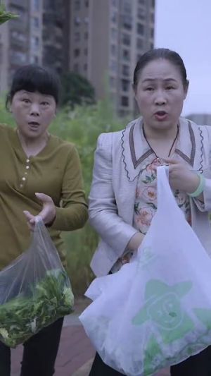 不要抛弃我（70集）短剧视频分享