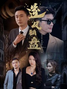 逆风翻盘短剧（94集奋斗短剧高清画质在线欣赏）