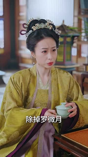 岁时有昭（50集）全集